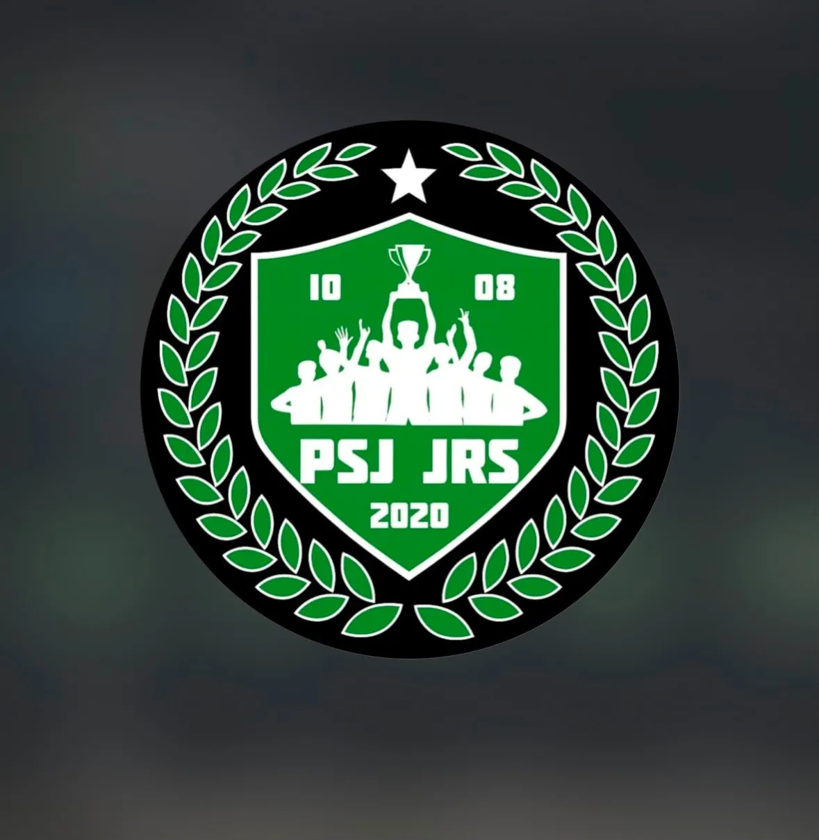 PSJ FC