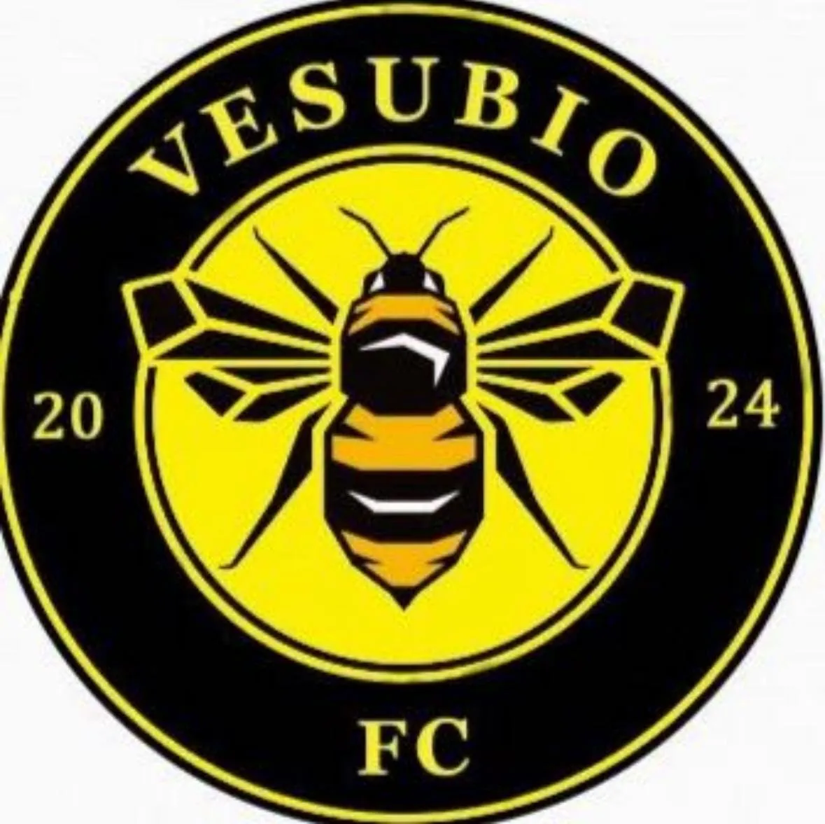 VESUBIO FC