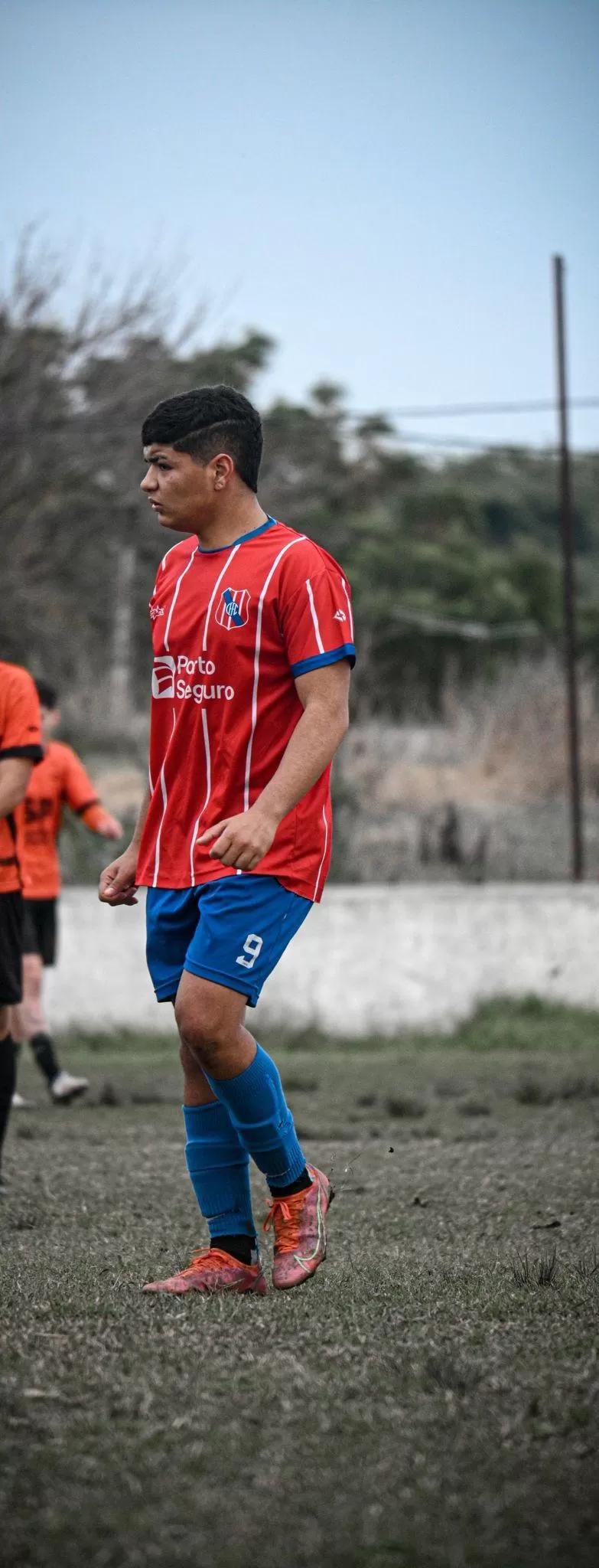 Alan Cardozo
