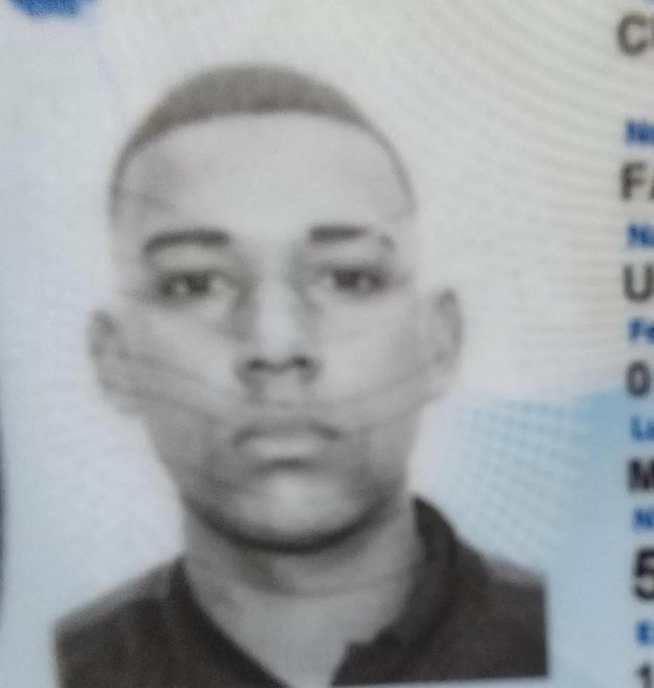 Fabian curbelo 