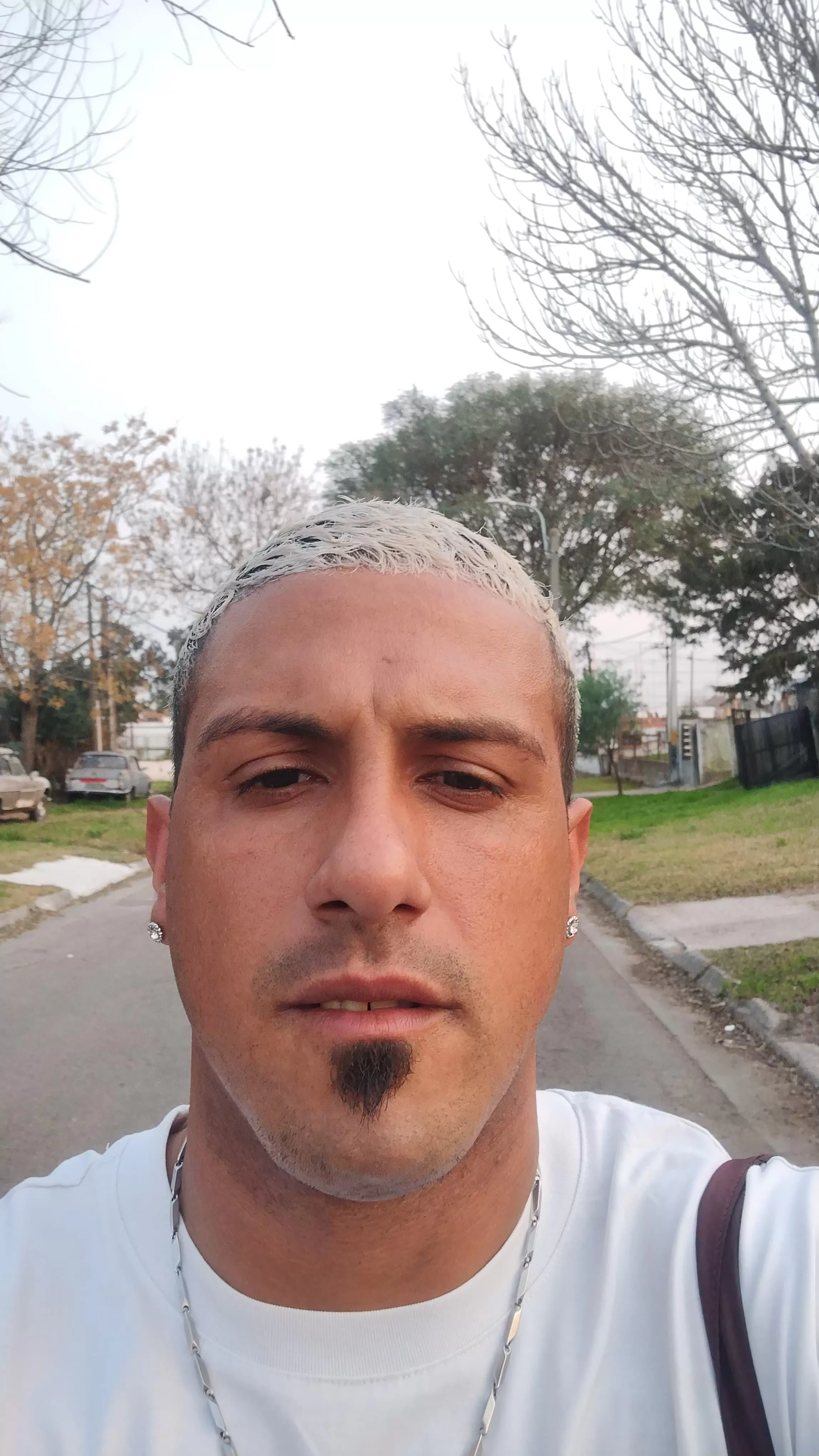 Alejandro   techera