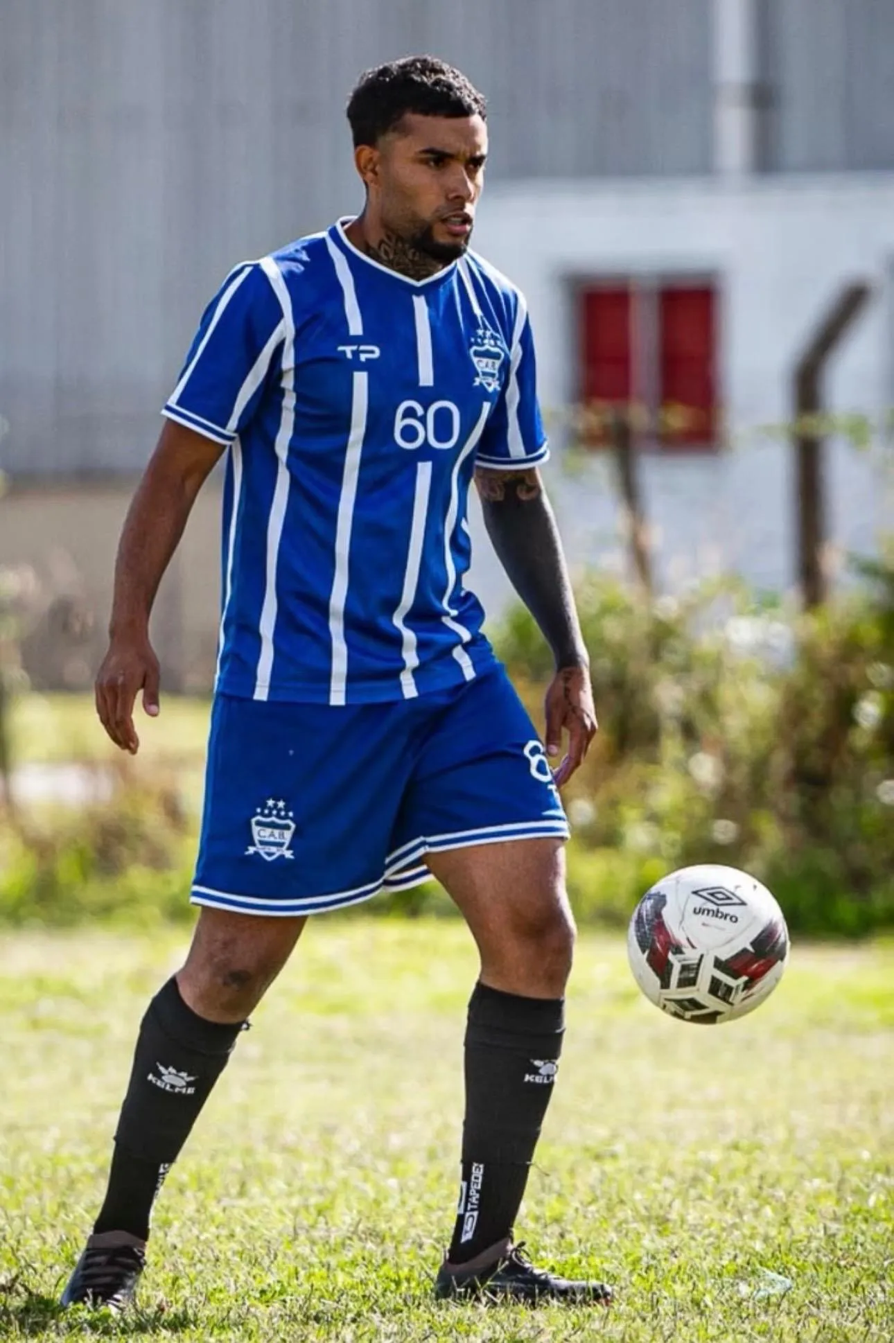 Andy La Luz