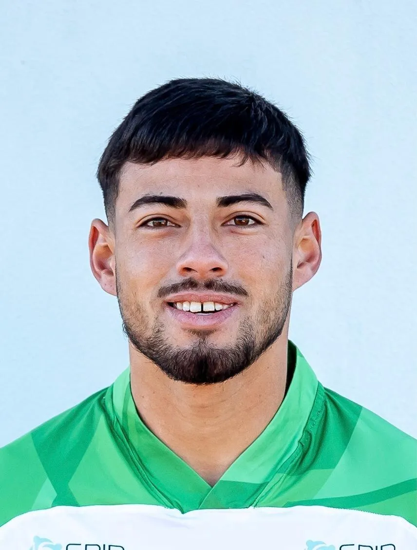 Vicente nion