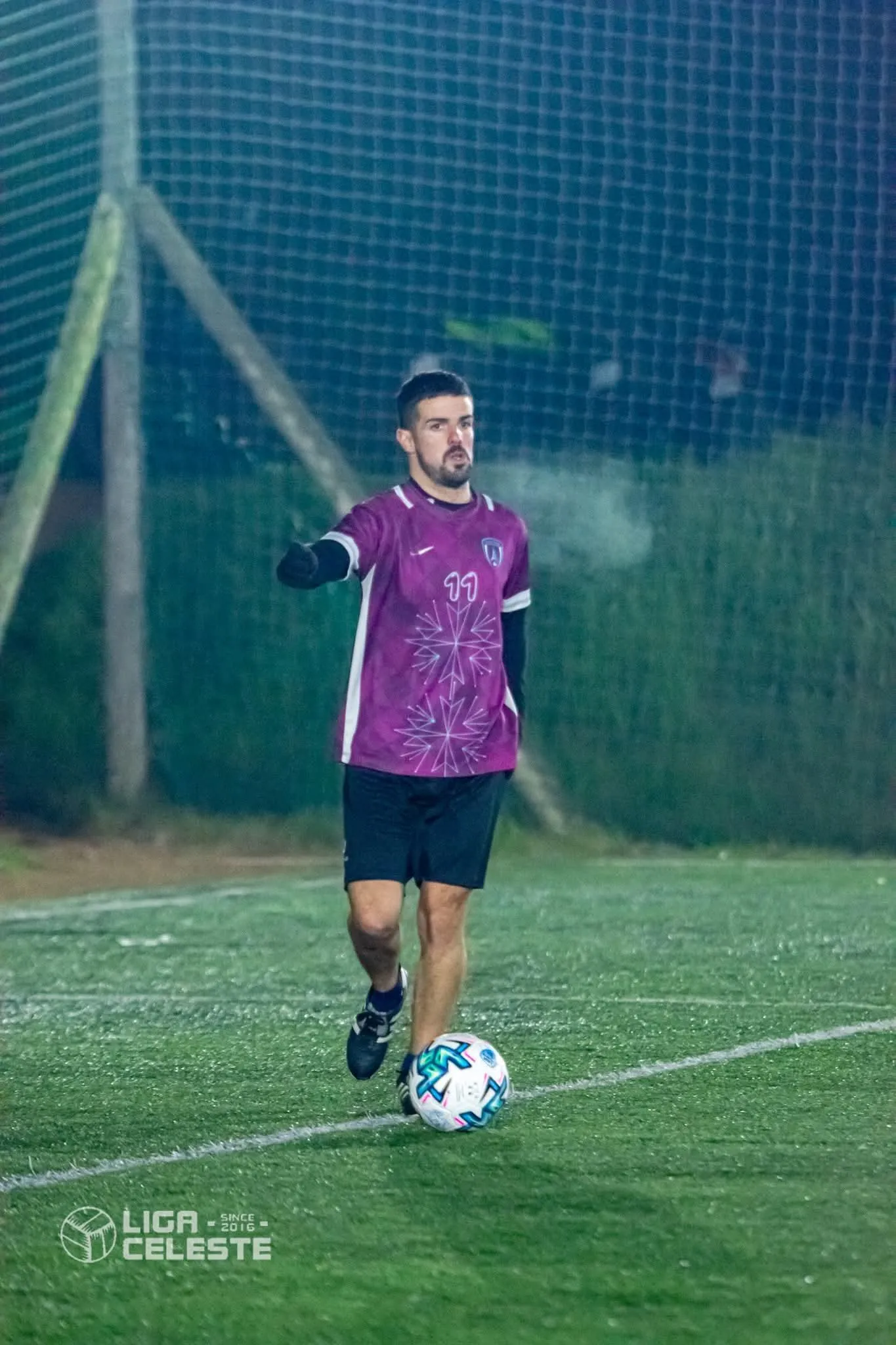 Fernando rosa