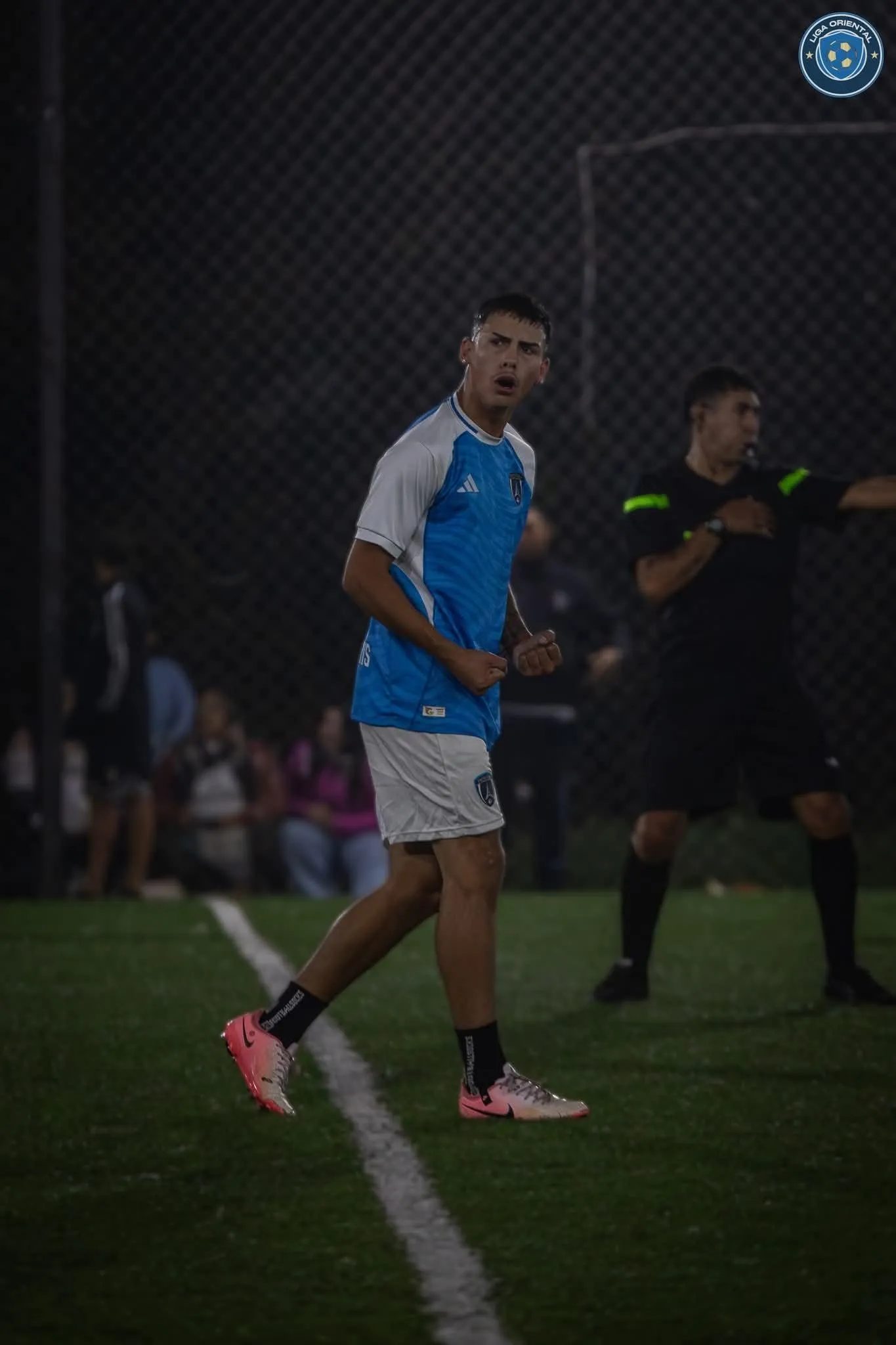 Luis Ferreira 