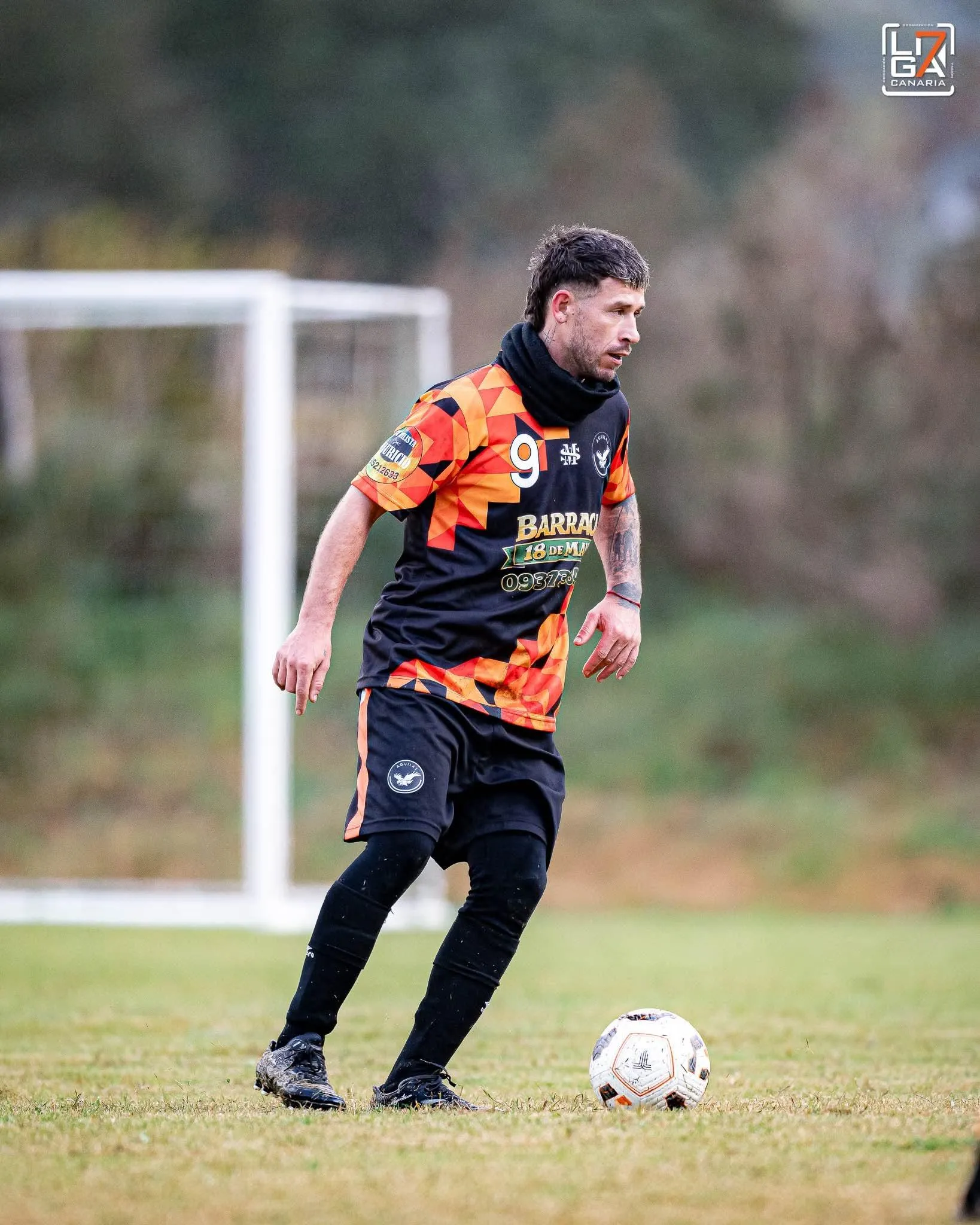 Gustabo cardozo 