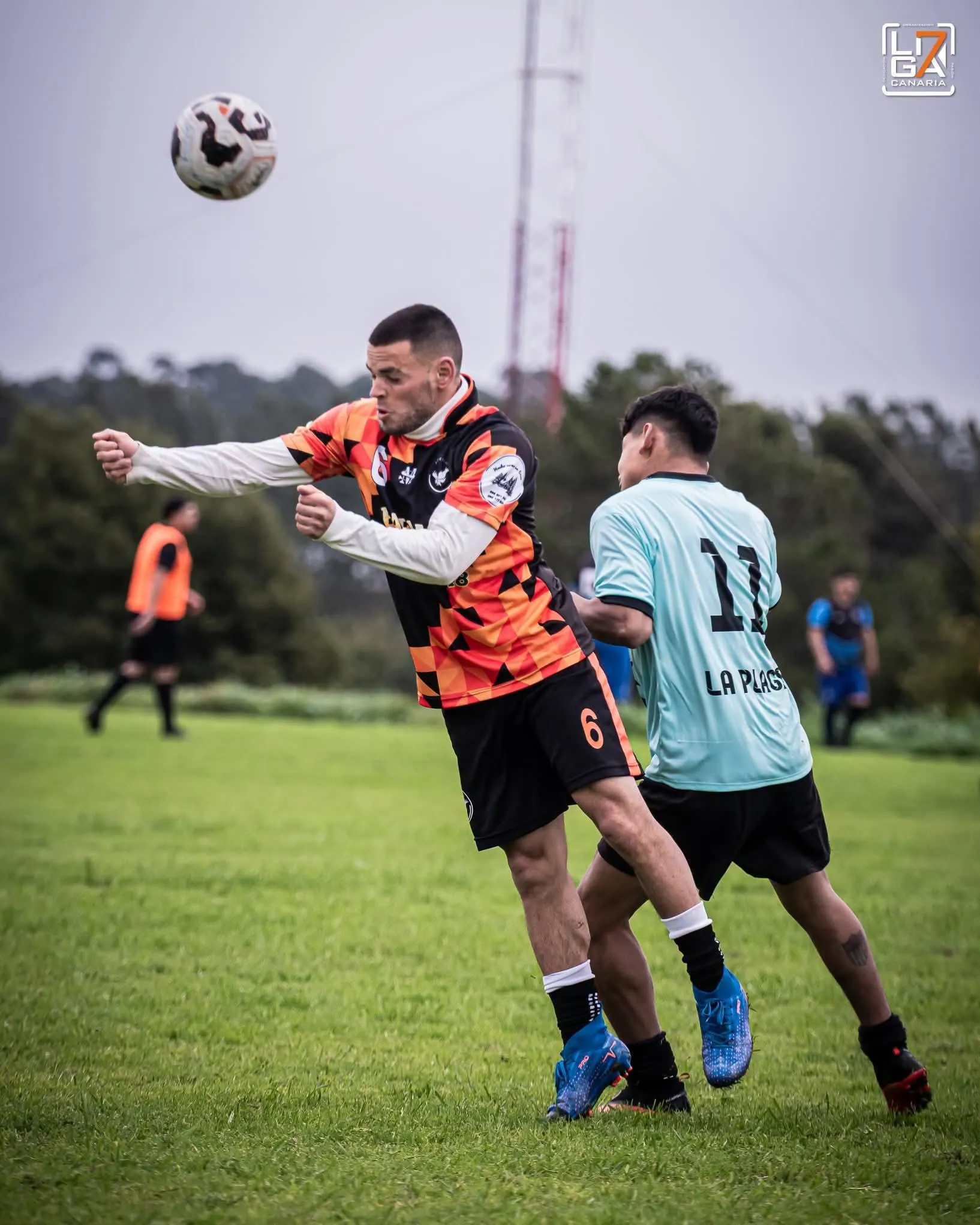 Pablo cardozo 