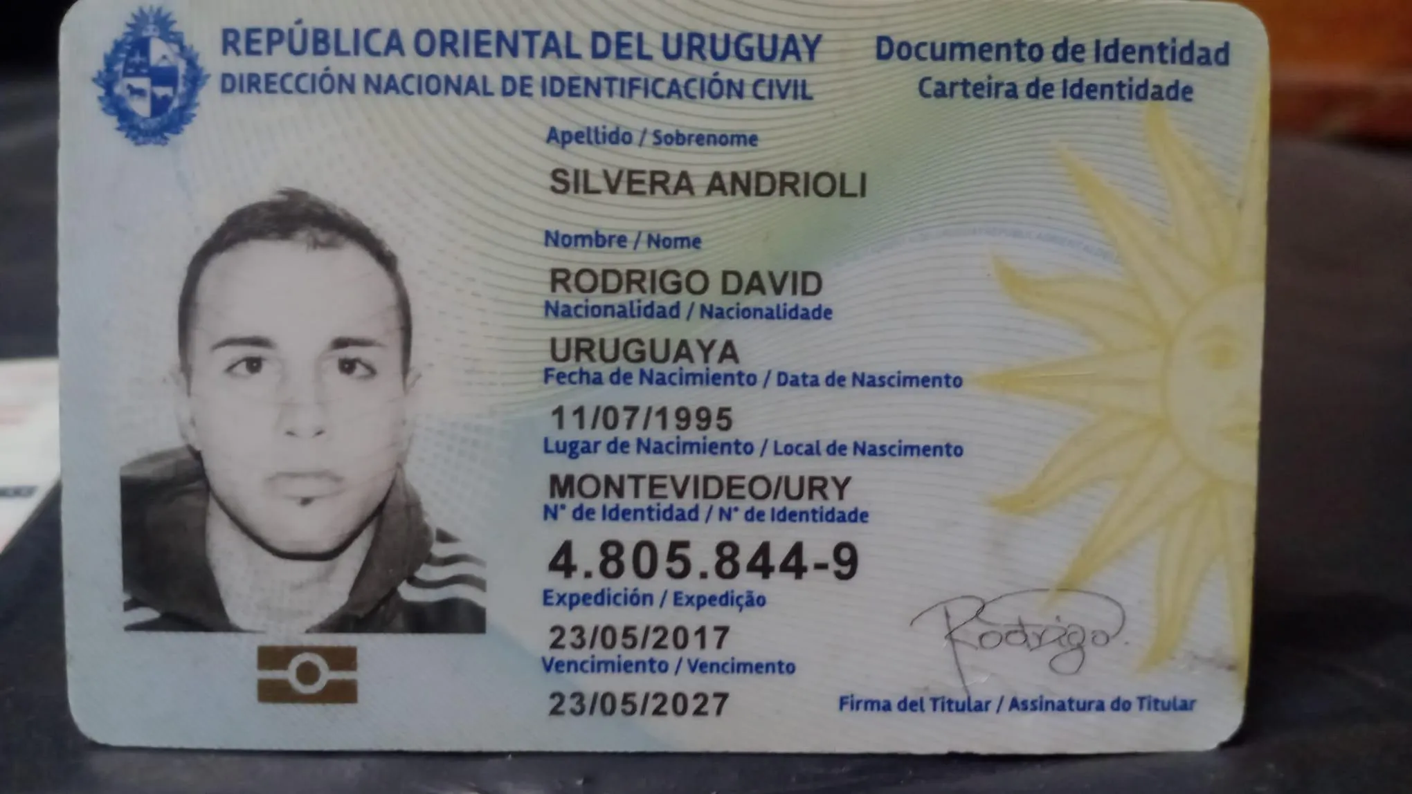 Andrioli silvera