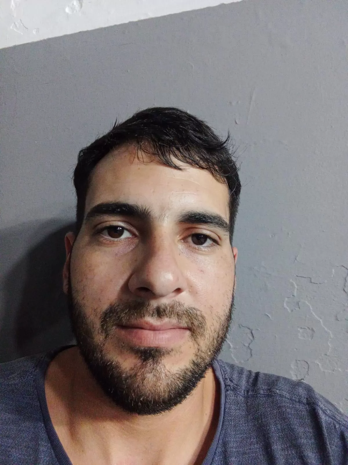 ALEXANDER DONNANGELO